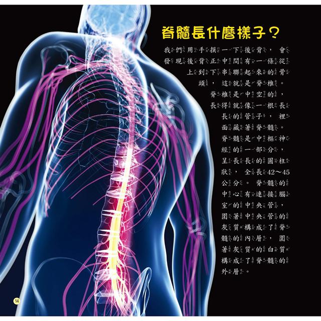 十萬個為什麼:探究!人體生命奧祕