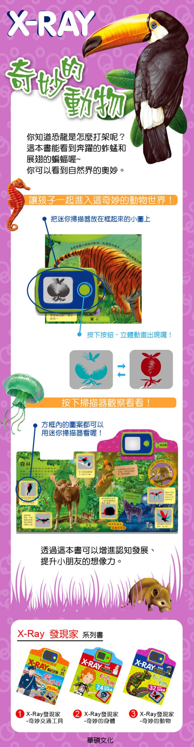 X-RAY發現家系列 (奇妙的身體+奇妙的動物+奇妙交通工具)