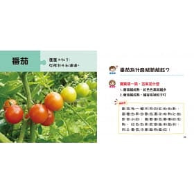 寶寶好奇問媽媽互動學習書(4書+中英文單字配對卡)(QR Code有聲書)