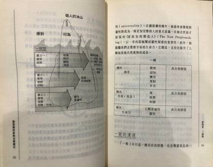 薩提爾的家族治療模式<二手書>A02