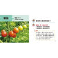 寶寶好奇問媽媽互動學習書(4書＋中英文單字配對卡)(QR Code有聲書)