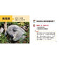 寶寶好奇問媽媽互動學習書(4書＋中英文單字配對卡)(QR Code有聲書)