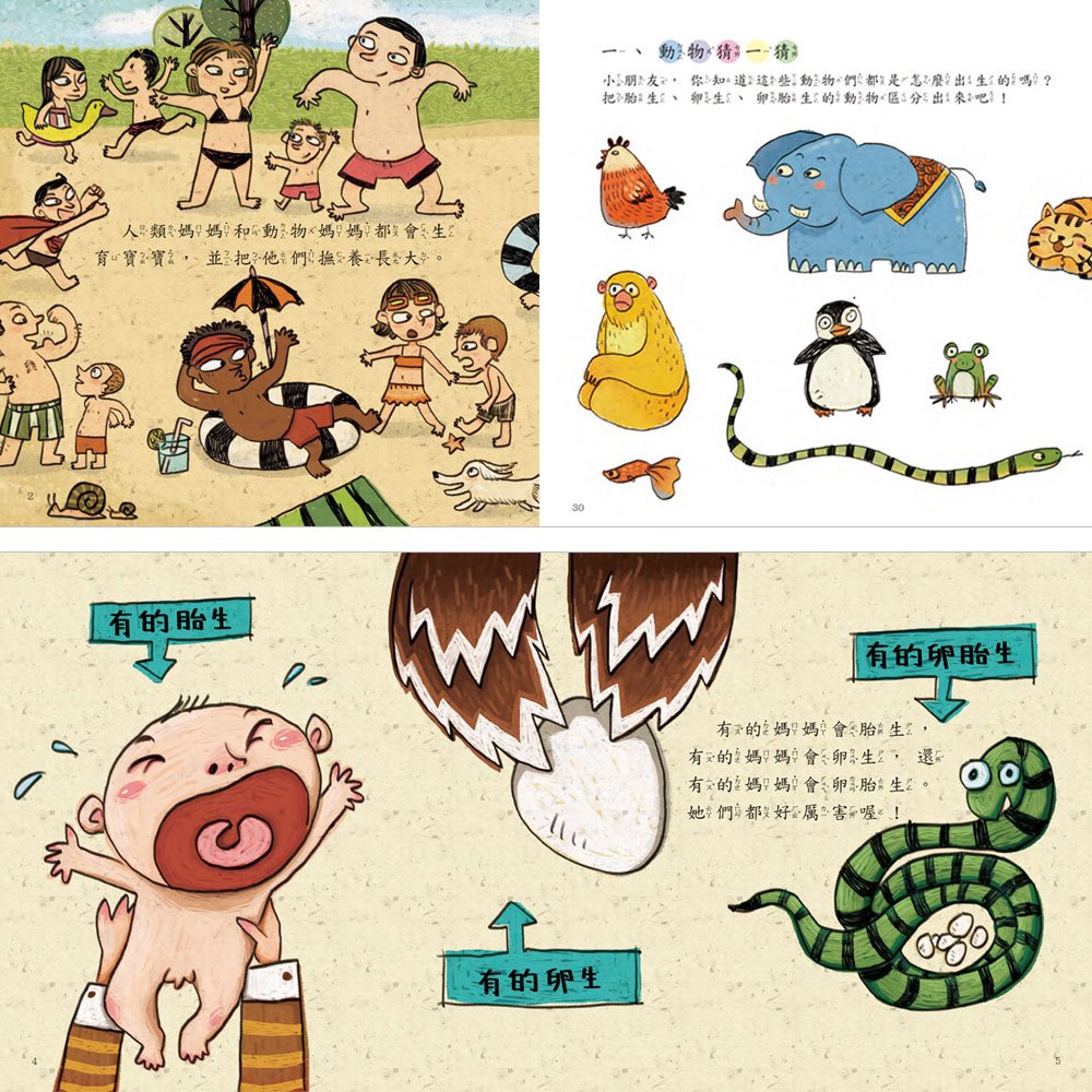 幼福寶寶探索科學繪本+寶寶第一套科學繪本12本平裝彩色書+故事CD